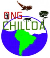 /album/ongchilloa-com-co/logo-ong-chilloa-jpg2/